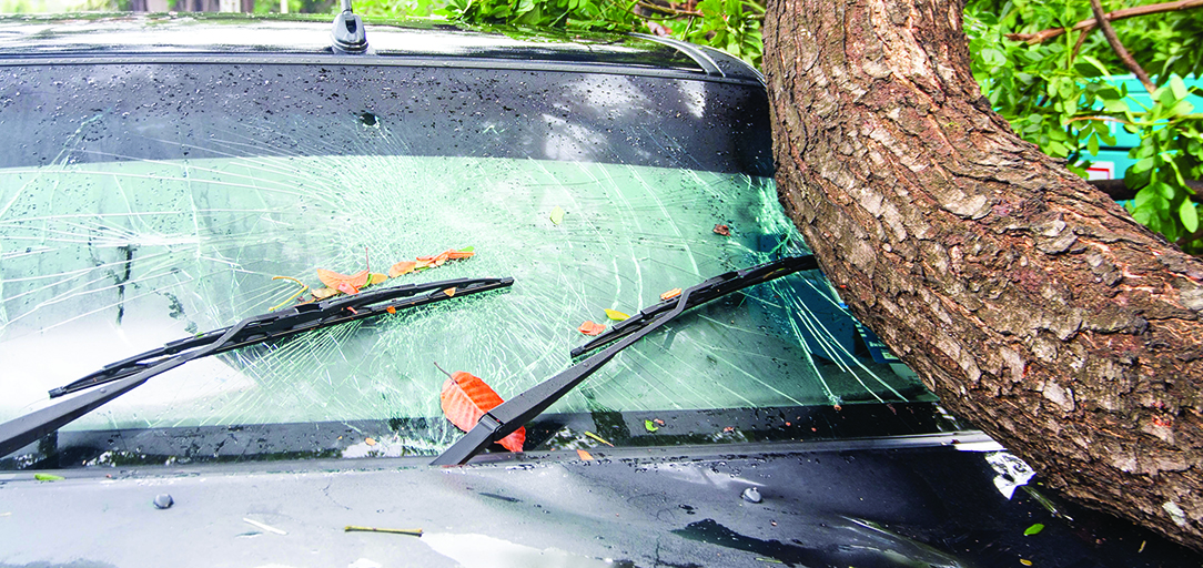 Extreme Cases of Windshield Damage